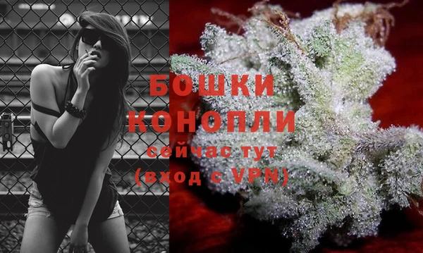 гидра Осинники