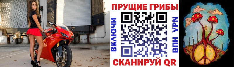 купить наркотики цена  Бугуруслан  Галлюциногенные грибы Magic Shrooms 